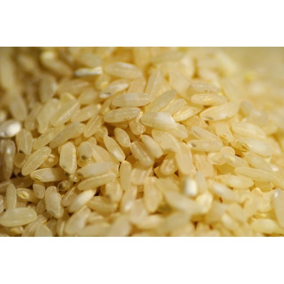 Arroz integral redondo granel - origen nacional-